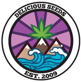 картинка Lord Kush от магазина Semki