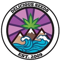 картинка Jagg Kush от магазина Semki